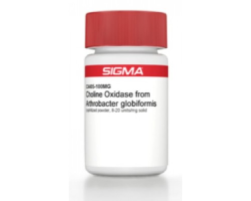 Холиноксидаза от Alcaligenessp. лиофилизированный порошок, 10 единиц / мг твердого вещества Sigma C5896