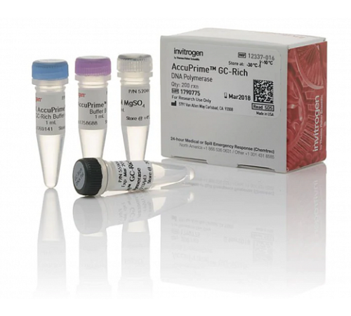 ДНК-полимераза AccuPrime GC-Rich DNA Polymerase, Thermo FS