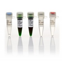 ДНК-полимераза Phusion Green, термостабильная, высокоточная, 2 ед/мкл, Thermo FS