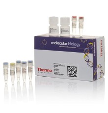 Набор для проведения прямой ПЦР Phusion Human Specimen Direct PCR Kit из образцов человека без предварительного выделения ДНК, Thermo FS